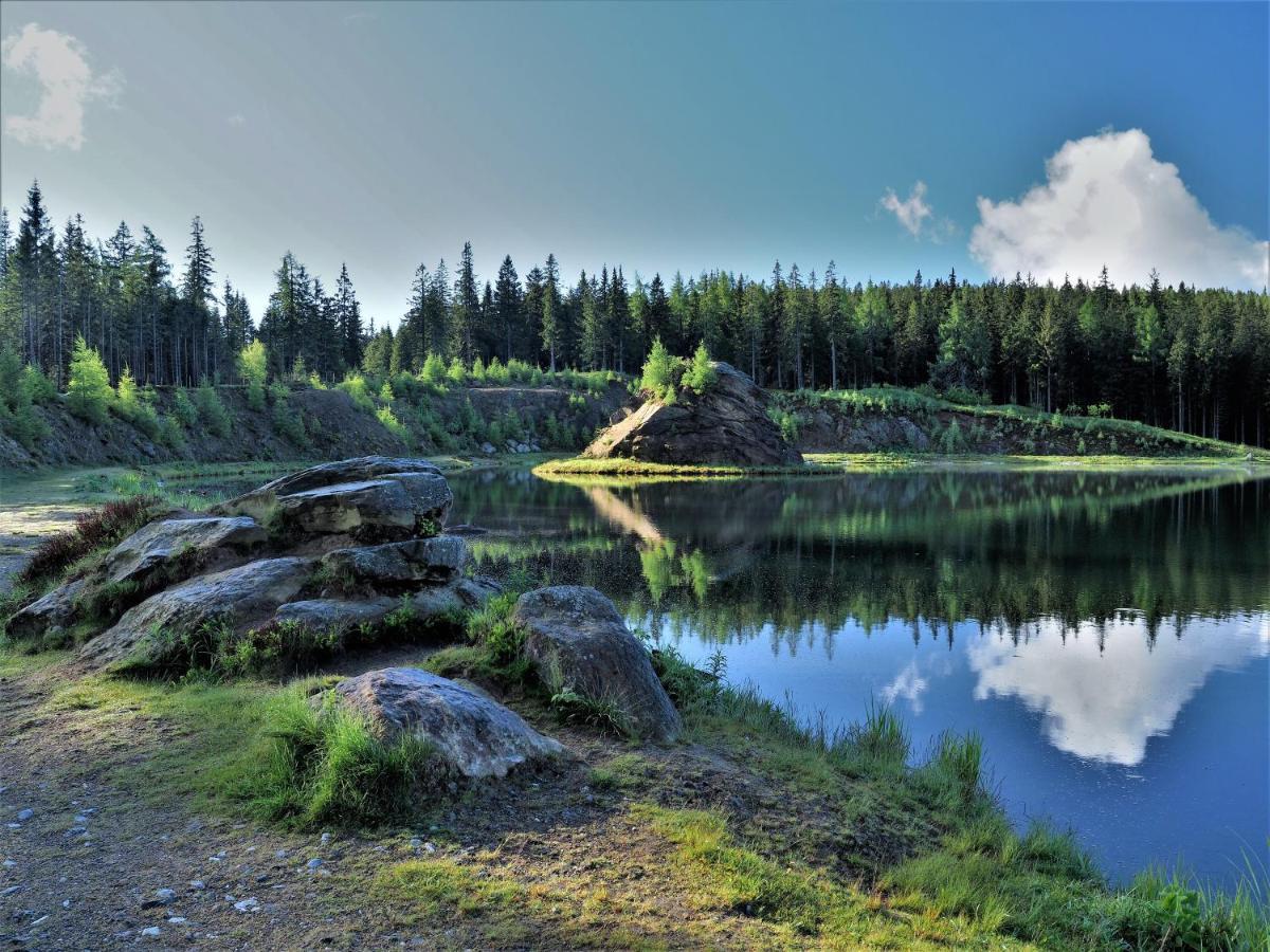 Naturforsthaus Ferienwohnung Fuer Hunde- Und Tierverbundene Menschen Preitenegg ภายนอก รูปภาพ