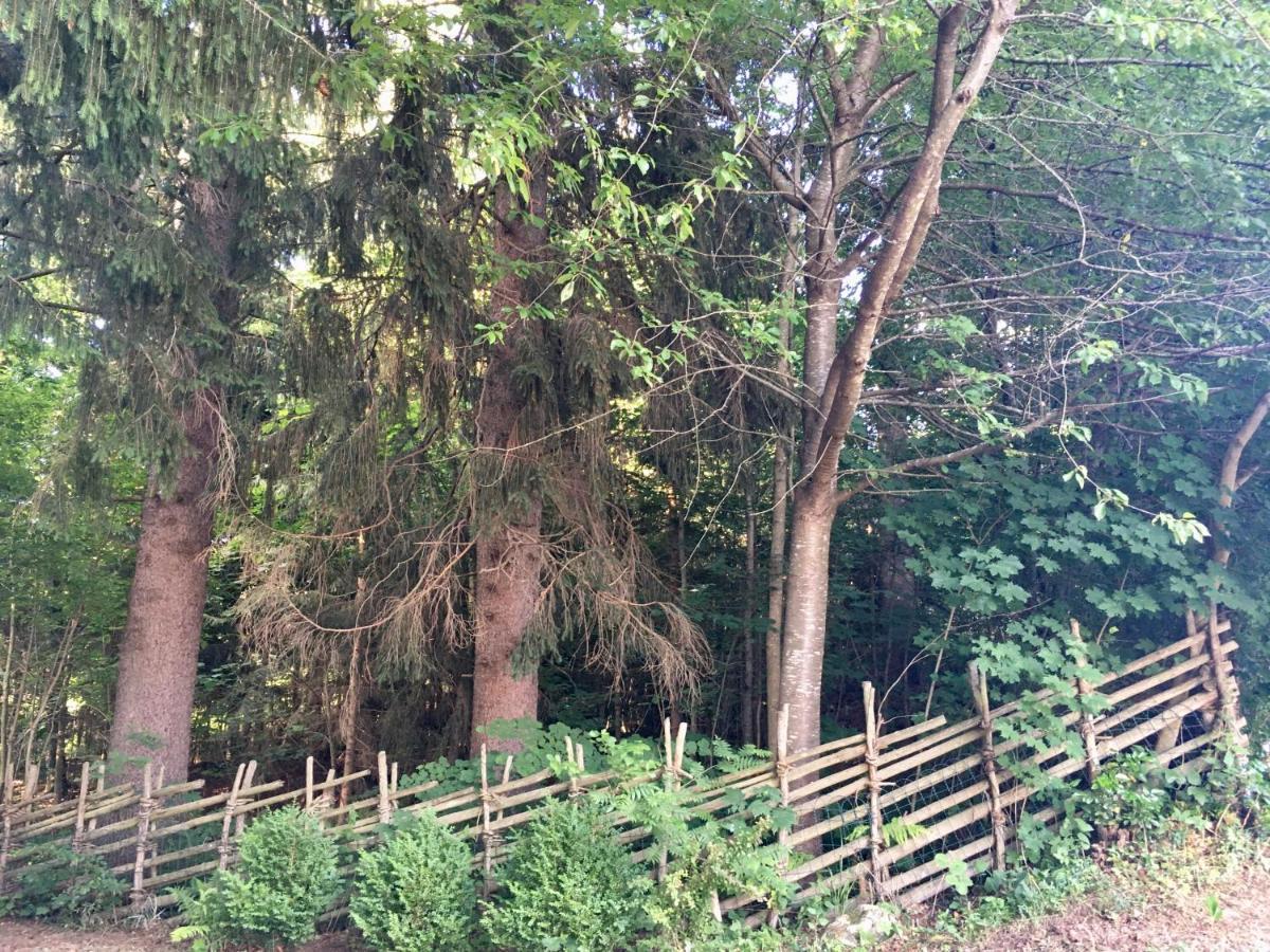 Naturforsthaus Ferienwohnung Fuer Hunde- Und Tierverbundene Menschen Preitenegg ภายนอก รูปภาพ