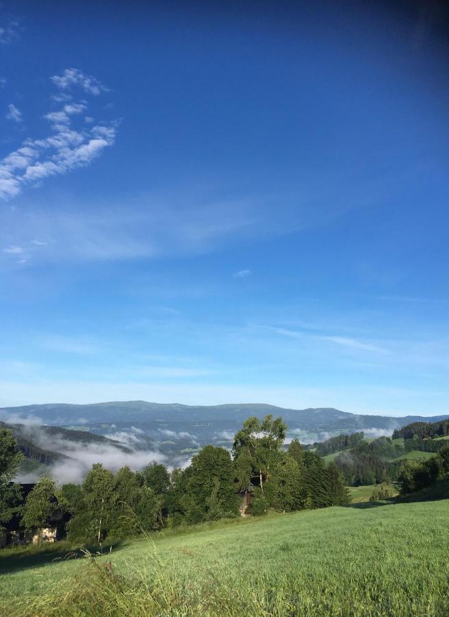 Naturforsthaus Ferienwohnung Fuer Hunde- Und Tierverbundene Menschen Preitenegg ภายนอก รูปภาพ