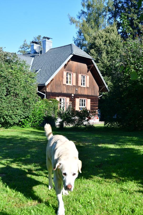 Naturforsthaus Ferienwohnung Fuer Hunde- Und Tierverbundene Menschen Preitenegg ภายนอก รูปภาพ